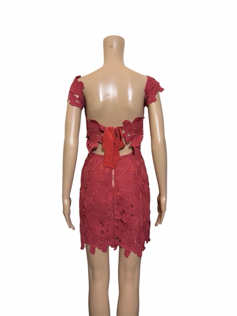 SAYLOR x free people dahlia rose Lace Mini Dress - Picture 2 of 9